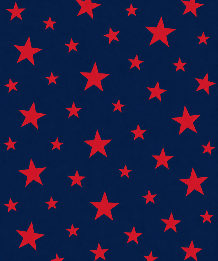 Malibu Sugars' Two Tone Star Reversible Blanket